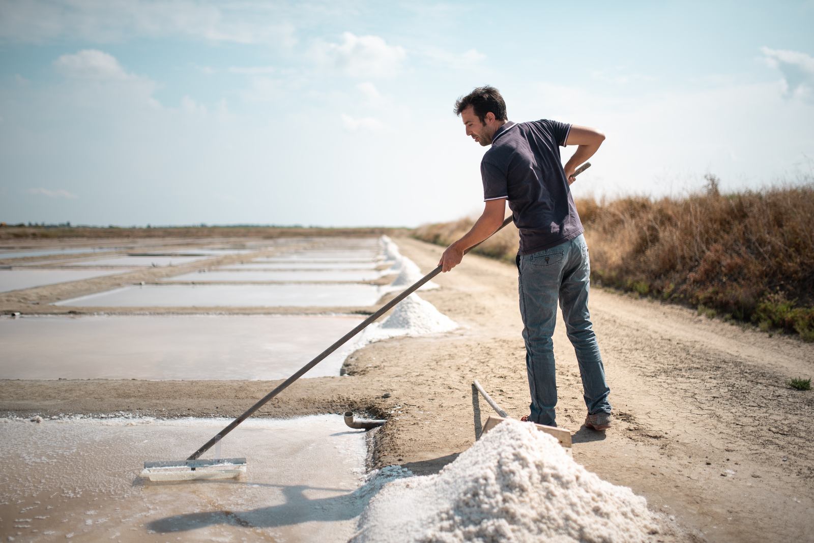 Jean-Philippe, ramassant la fleur de sel