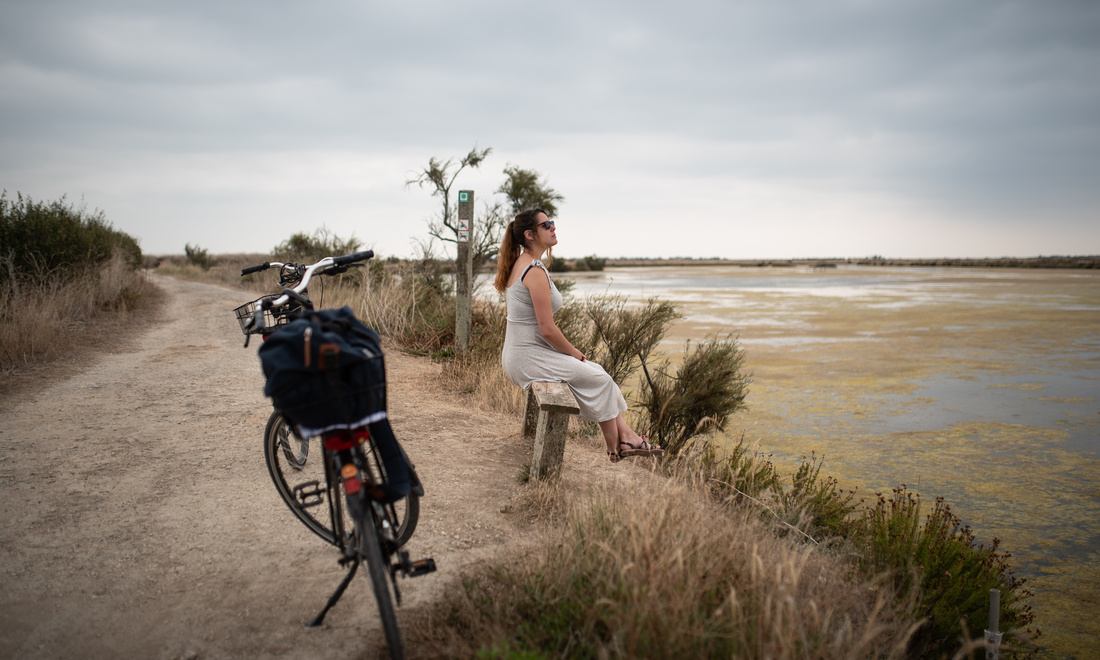 Pause dans les marais de l'île de Ré