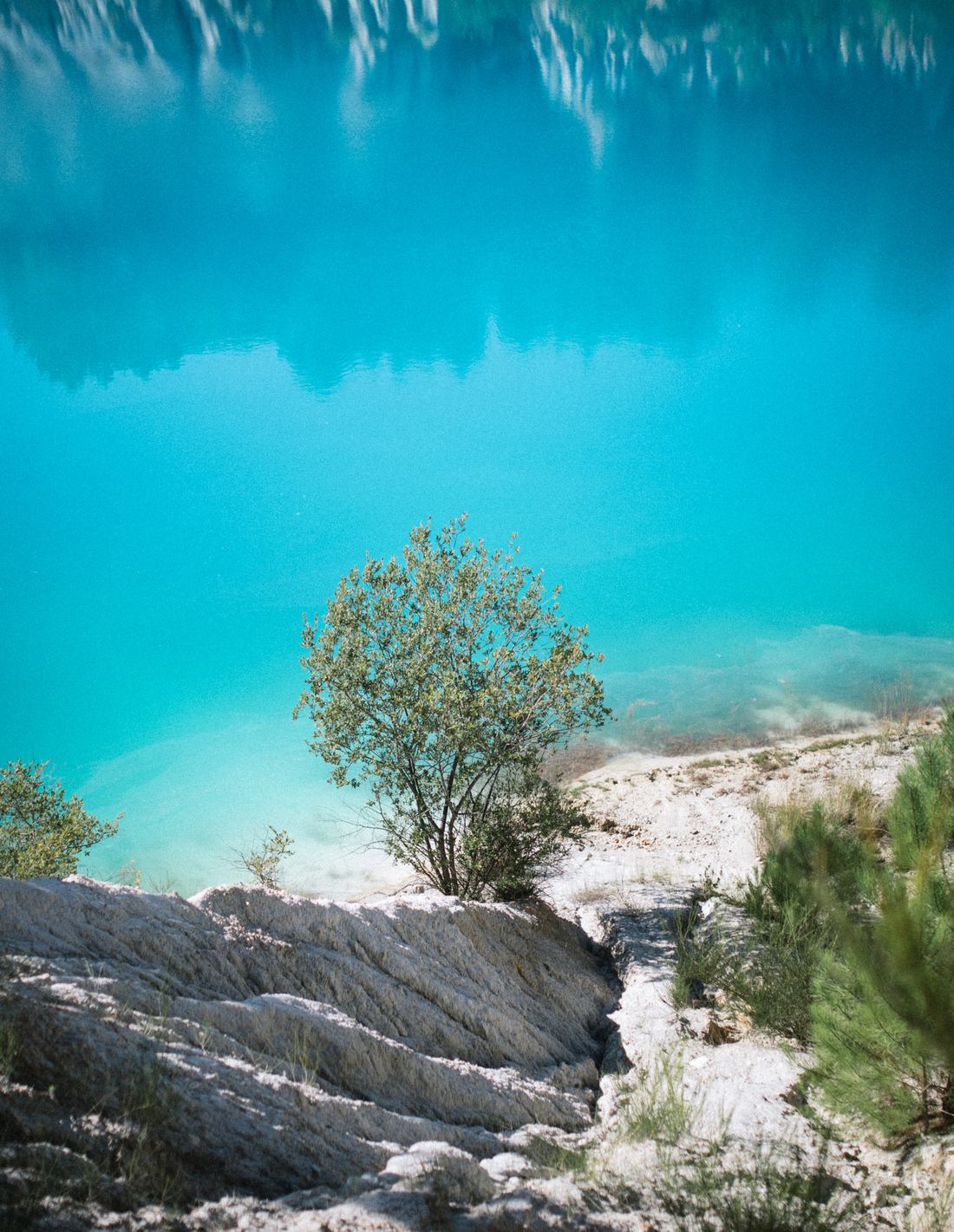 Détails, lac de Guizangeard