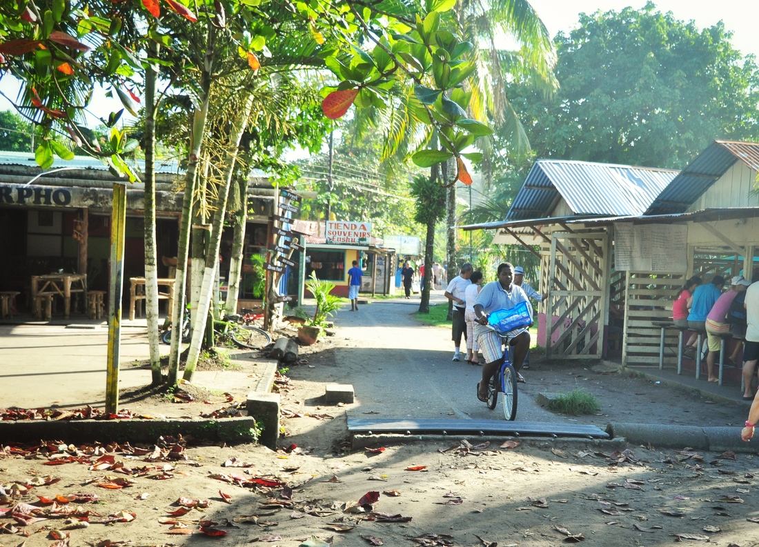 Rue de sable Tortuguero, Costa RIca