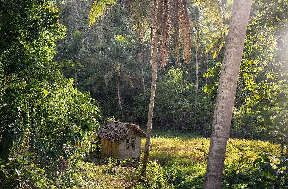 Au coeur de l'île de Bohol