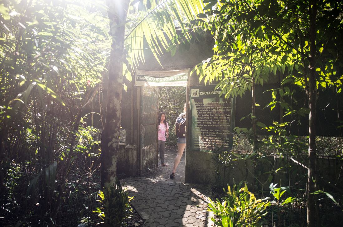 Philippine Tarsier and Wildlife Sanctuary