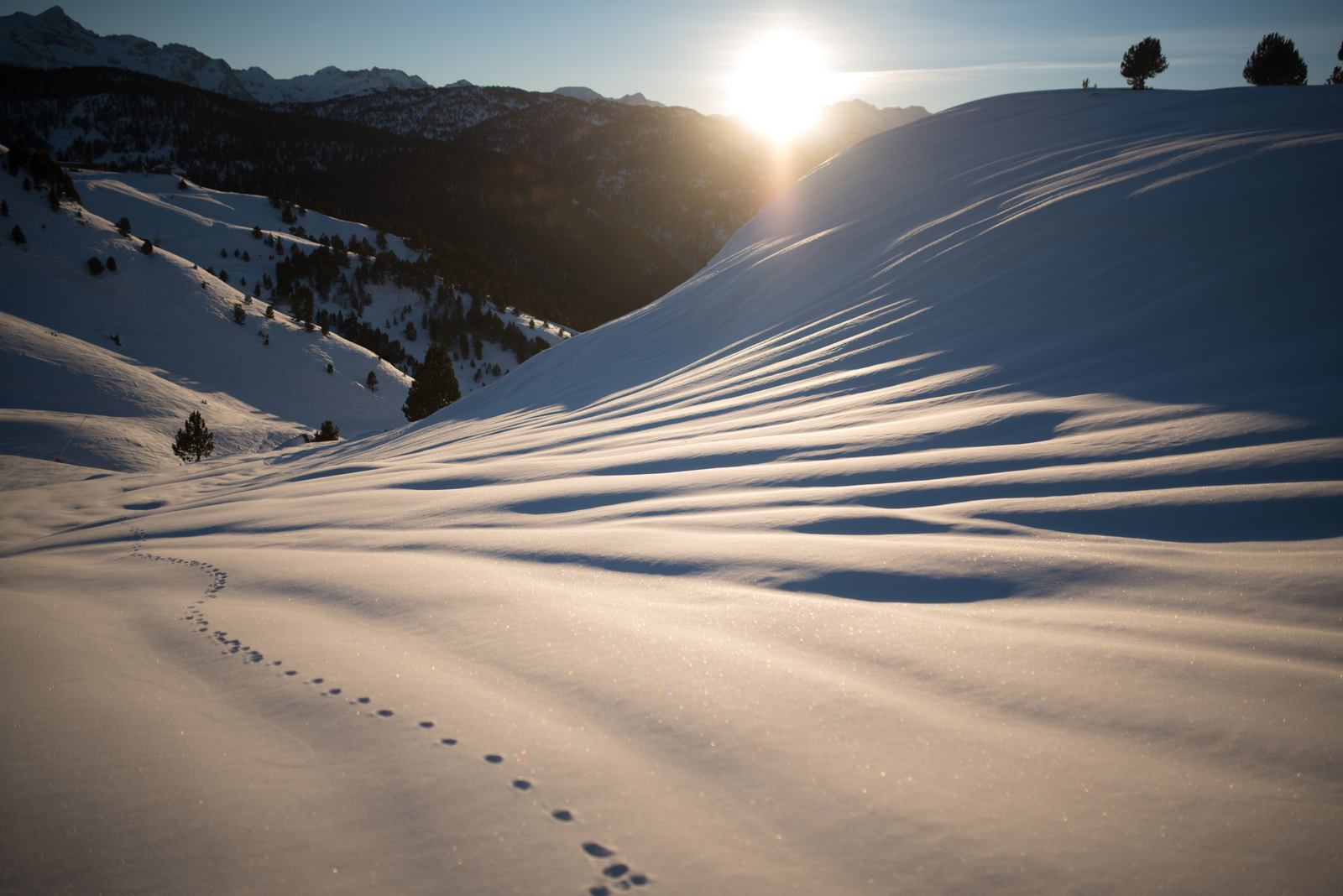 Petites traces d'animaux dans la neige Petites traces d'animaux dans la neige