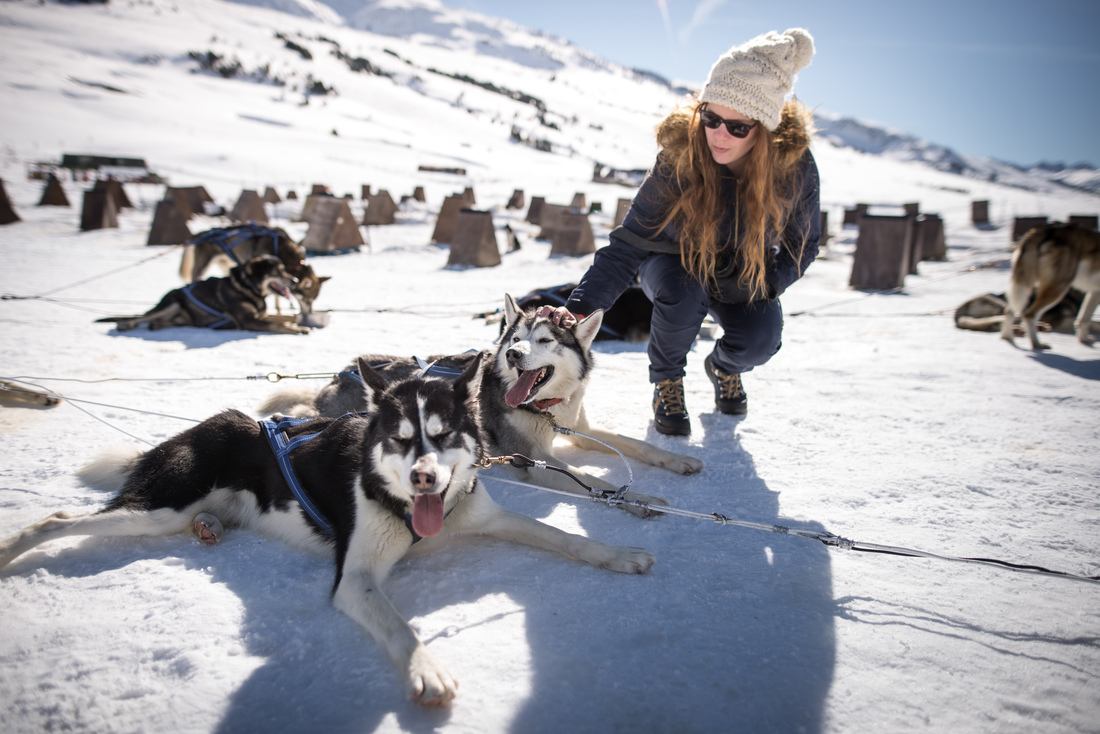 Manue et 2 chiens d'attelage