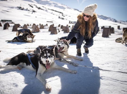 Faire du chien de traineau dans les Pyrénées 