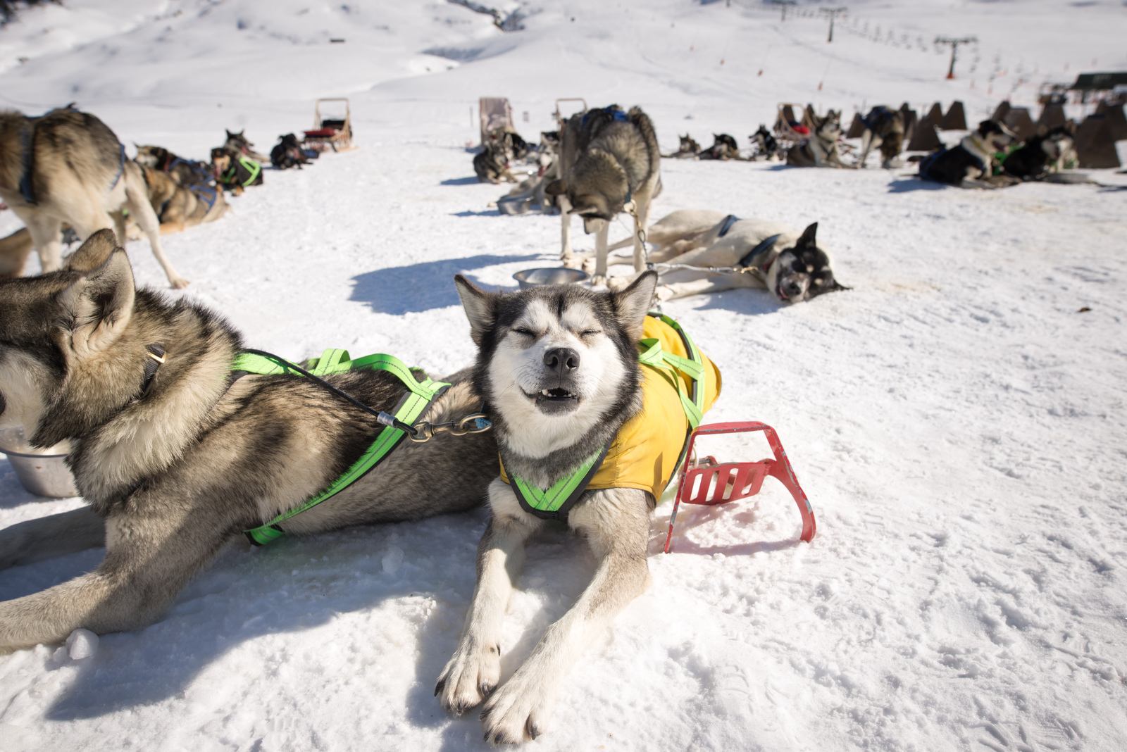 La préférée de Seb