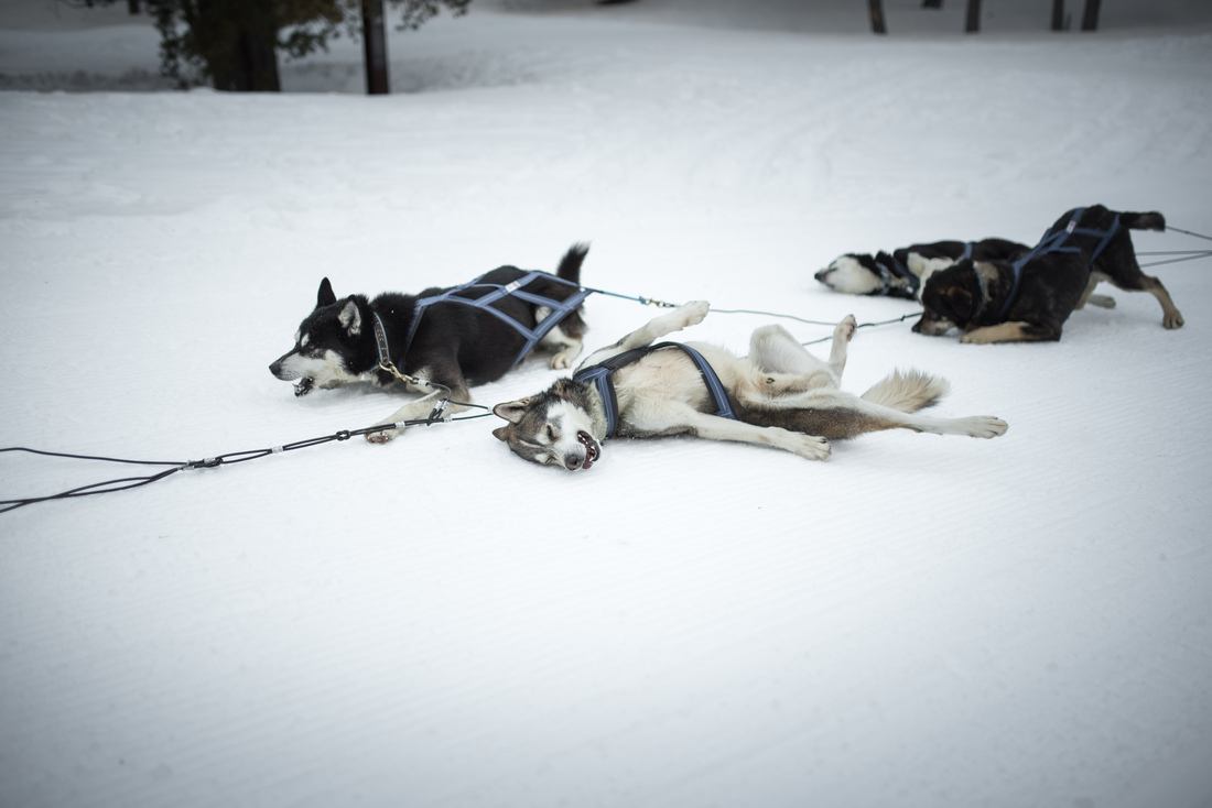 Besoin de fraîcheur apres la course