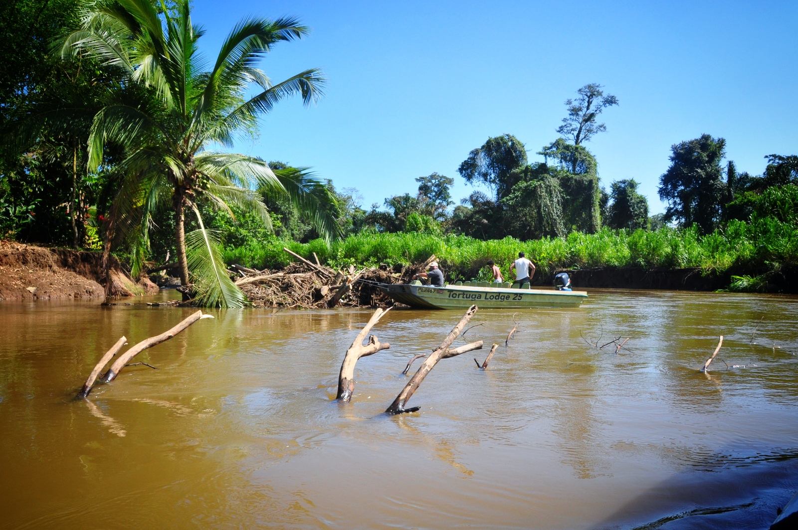 Rivière de Tortuguero
