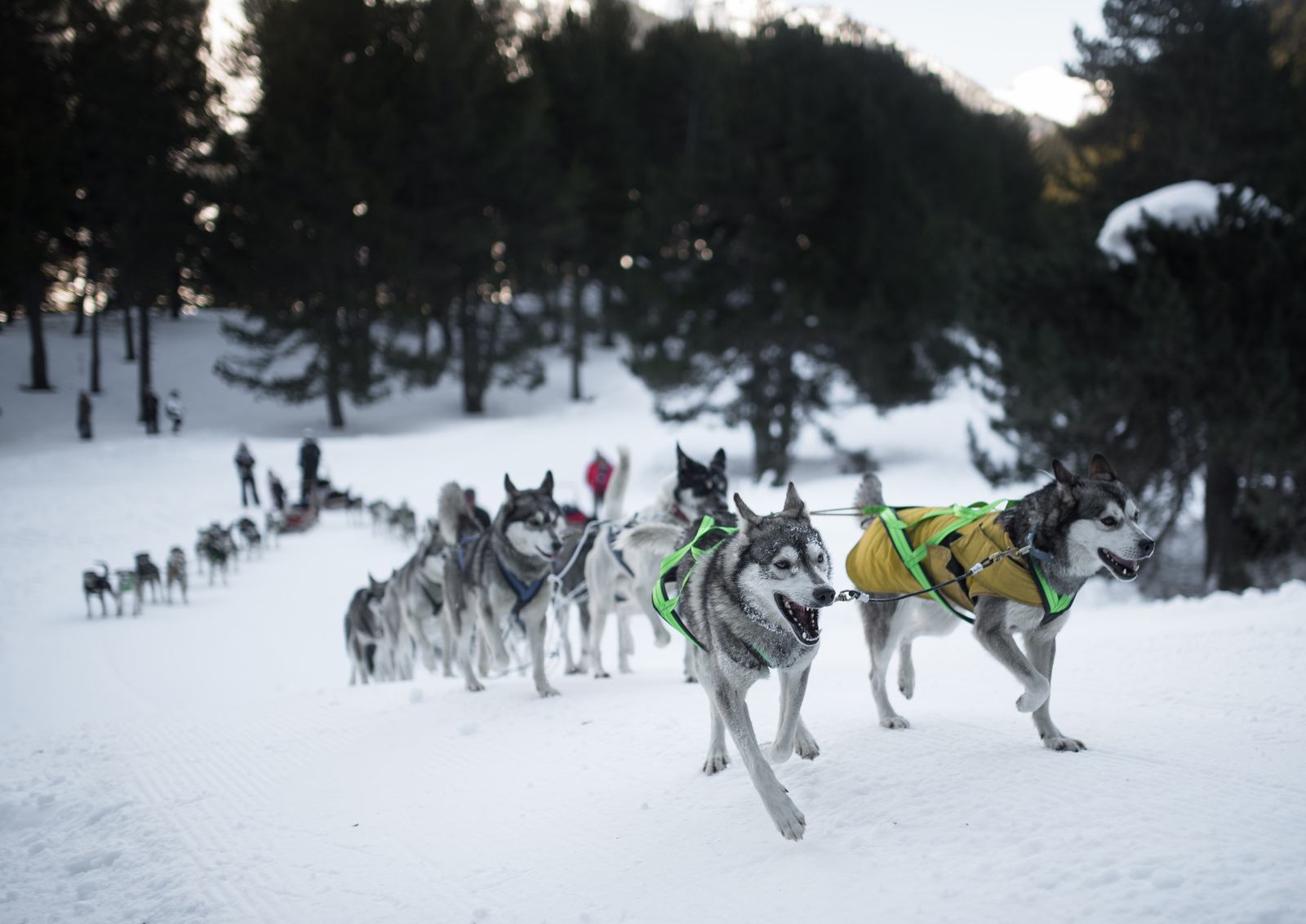 On repart après la pause On repart après la pause