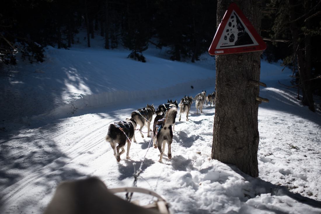 Attention... aux chutes 