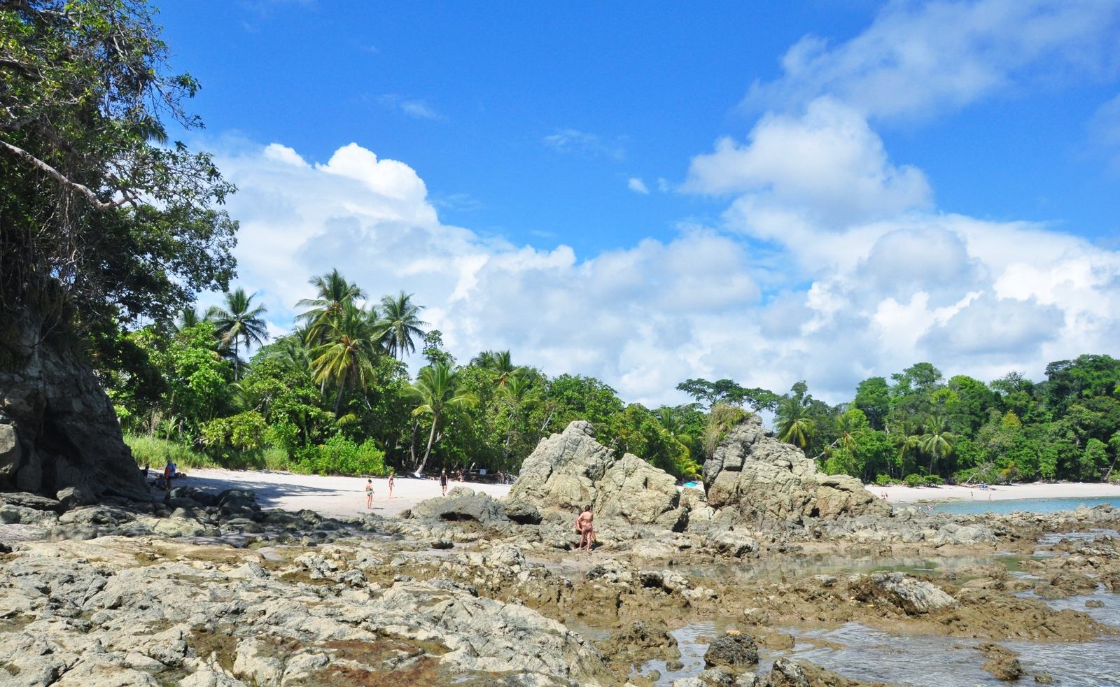 Cote, Parc Manuel Antonio au Costa Rica