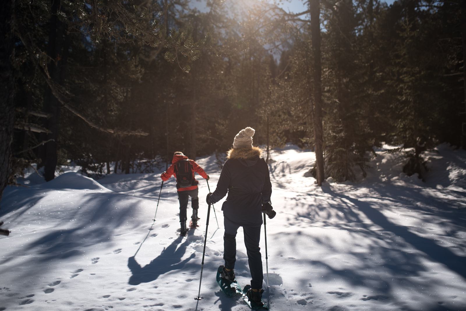 Dans les pas de Francesco Dans les pas de Francesco
