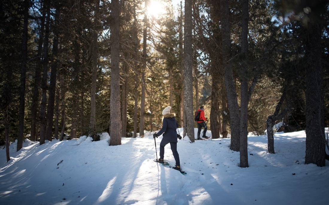 Au coeur de la foret du Parc National d’Aigüestortes