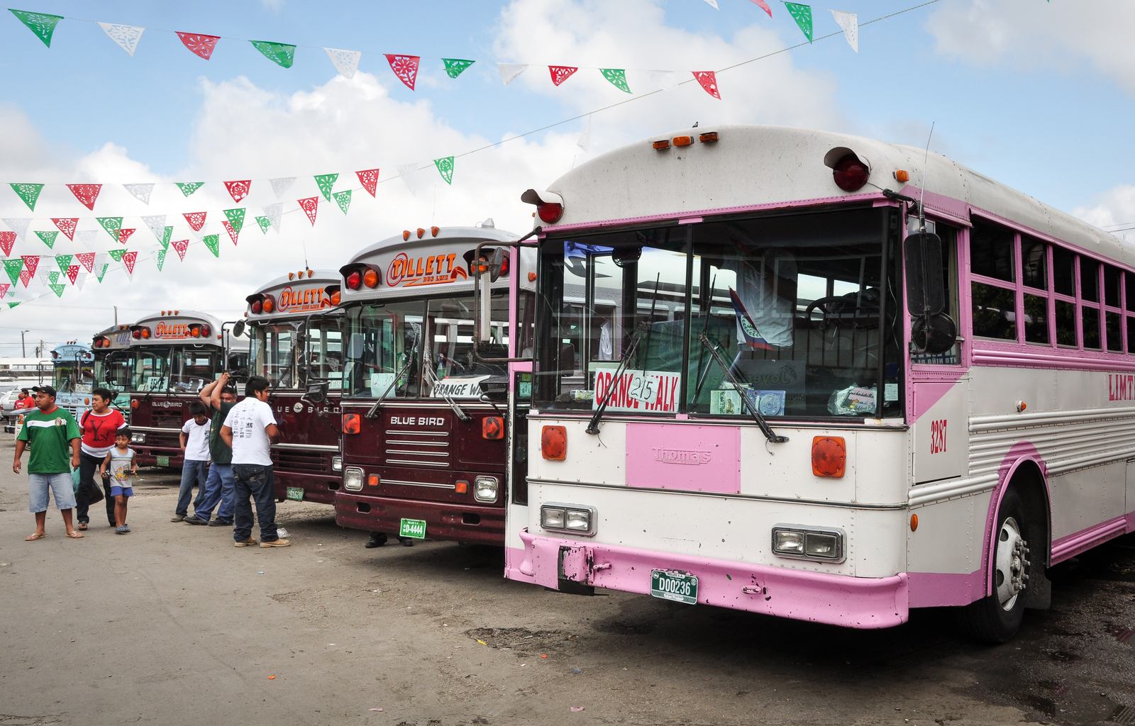 Les bus au Belize