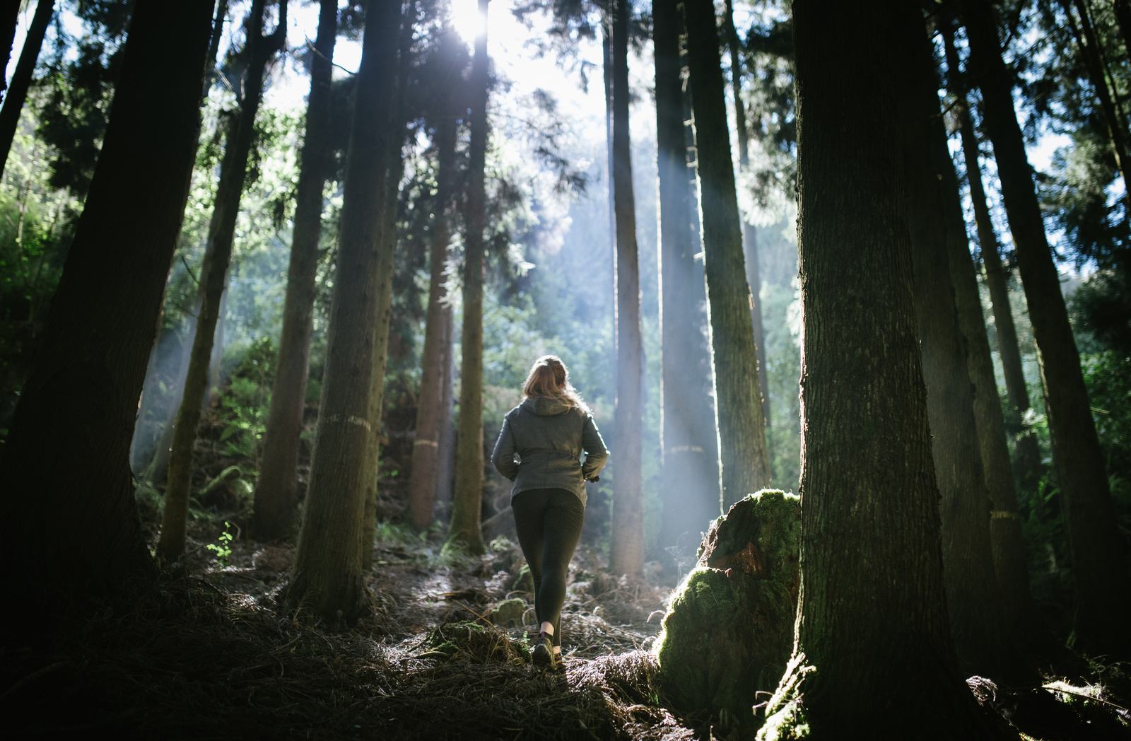 Route forêstiere du volcan, La Réunion