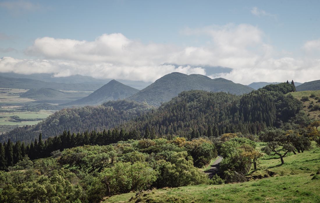 La Plaine des Cafres à la Réunion