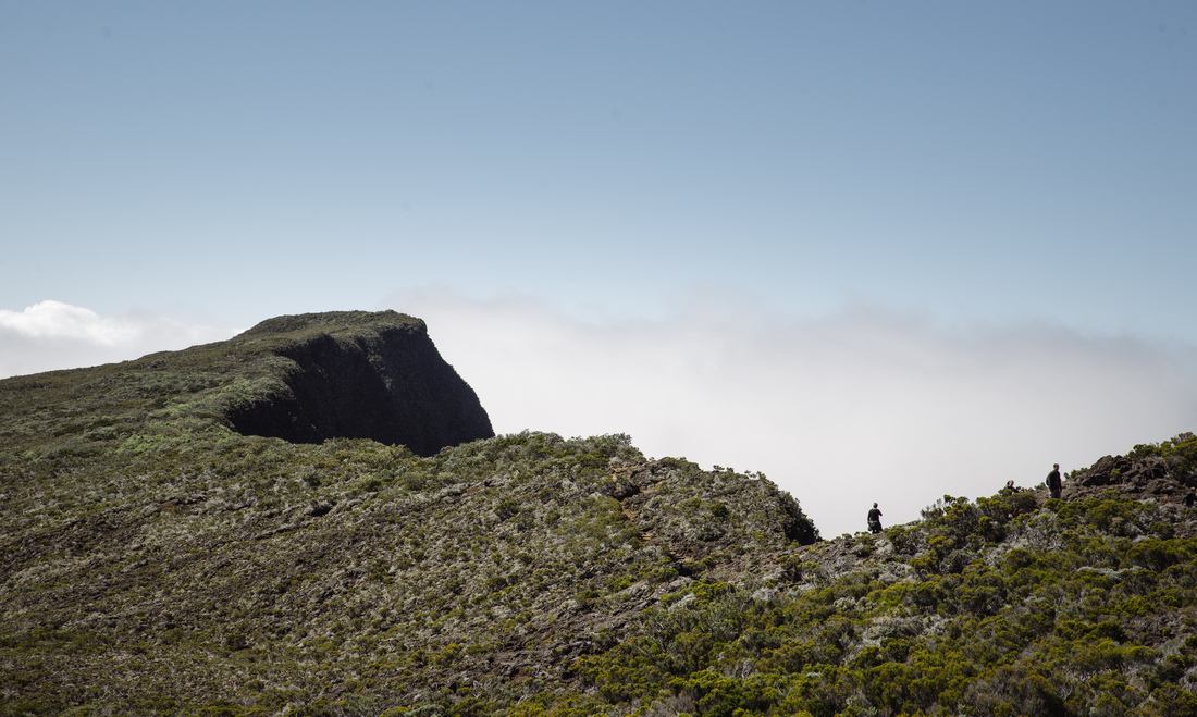 Au dessus de Formica Leo