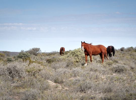 Petite étape a Puerto Madryn