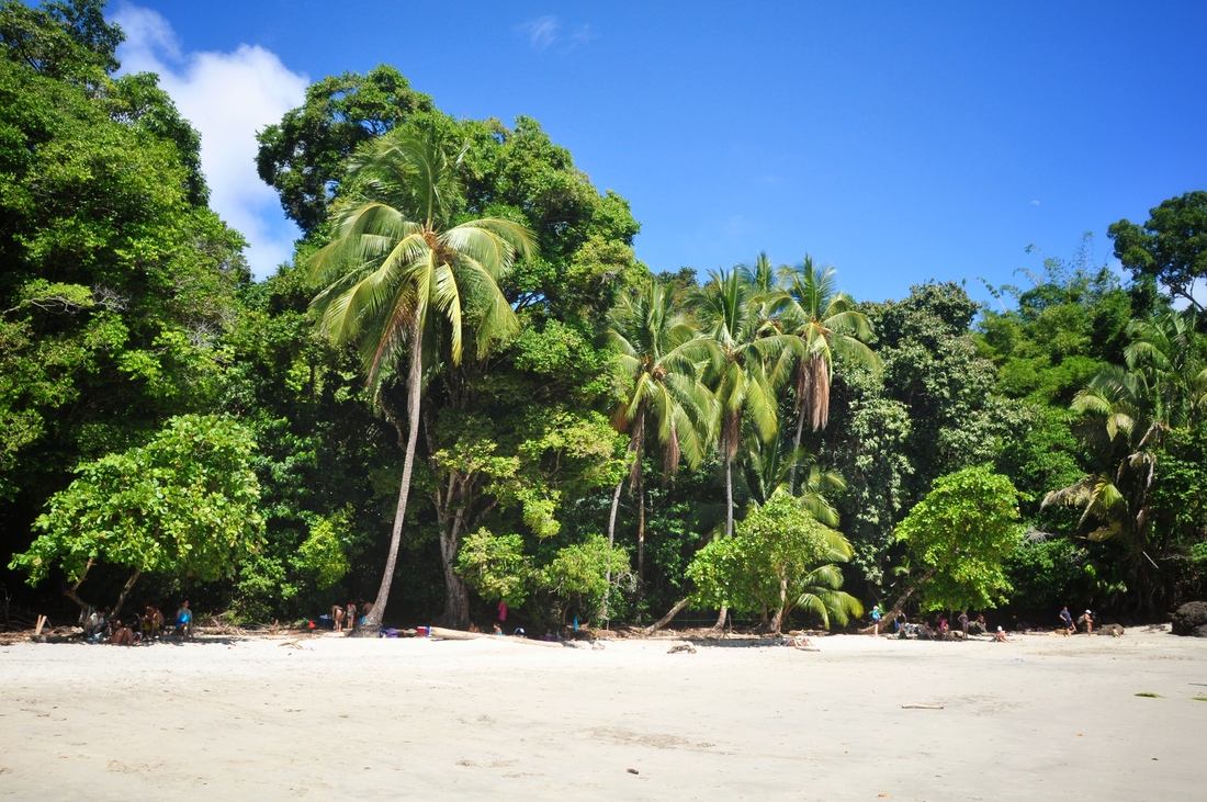 Plage paradisiaque, Parc Manuel Antonio au Costa Rica